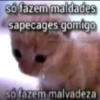 miau 27