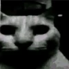 miau 28