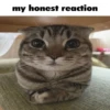 My honest reaction (by ) 24