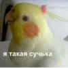 Mem :: 28