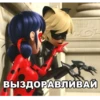Memes_Miraculous 28