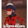Memes_Miraculous 29