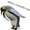 MEM 29
