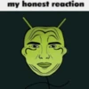 My honest reaction (by ) 29
