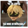 Memes_Miraculous 30