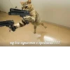 memy pró kotov (po rzhatí) 6