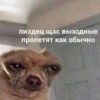 пиздец щас выходные пролетят как обычно