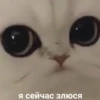 Стикеры WhatsApp 6