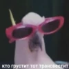Стикеры WhatsApp 8