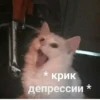 * крик Депрессии *