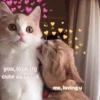 Meow by 5