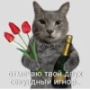 Lmaostikers :: 5