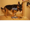 Mito's Meme 🦋 7