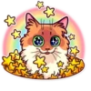 Meme Cats 6