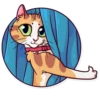 Meme Cats 7