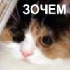 Memes semeM 3 by 5