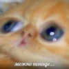 Стикеры WhatsApp 10