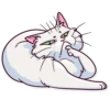 Meme Cats 11