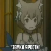 *ЗВУКИ ЯРОСТИ *