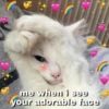 Meow by 11