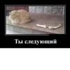Ты следующий
