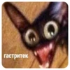 ПостирониR НАХУЙ - 13
