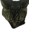 meow 12