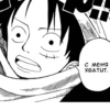 One Piece manga 12