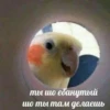 ты шо ебанутый шо ты там делаешь