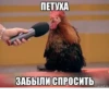 Meowshkin 16