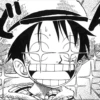 One Piece manga 14