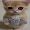 Ilusha obama face 14