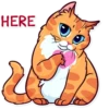 Meme Cats 14
