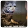 ПостирониR НАХУЙ - 15