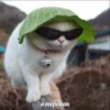 memy pró kotov (po rzhatí) 21