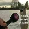 Стикеры WhatsApp 17