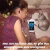 Lmaostikers :: 14