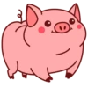 Свин Валера / Pig Valera 14
