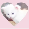 мRв💕 16
