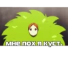 " мне пох я куст.