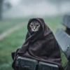 Kittens 12