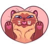 Meme Cats 19