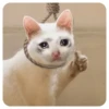 ПостирониR НАХУЙ - 21