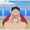 One Piece manga 24