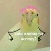 хош клюну за жепку?