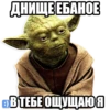 Memasi 17