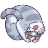 Meme Cats 22