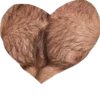 Meowshkin 25