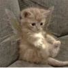 Стики из @Anonymnyi_chat_bot 27
