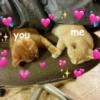 Meow by 21